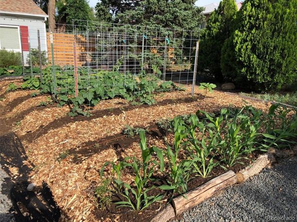 3630 N Fillmore Street, Denver CO 80205