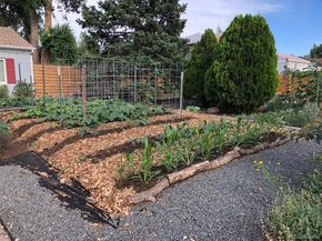 3630 N Fillmore Street, Denver CO 80205