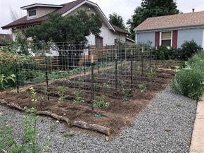 3630 N Fillmore Street, Denver CO 80205