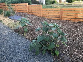 3630 N Fillmore Street, Denver CO 80205