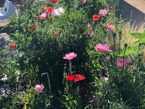 3630 N Fillmore Street, Denver CO 80205