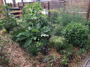 3630 N Fillmore Street, Denver CO 80205