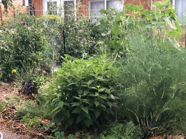 3630 N Fillmore Street, Denver CO 80205