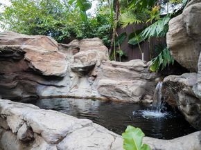 504 PALMS Drive, Martinez CA 94553