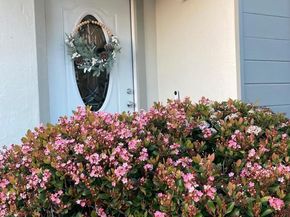 6443 Conlon Avenue, El Cerrito CA 94530