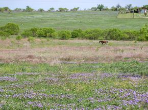 14325 S Turnerville RD, Buda TX 78610