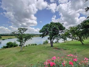 14812 Avery Ranch BLVD 1, Austin TX 78717