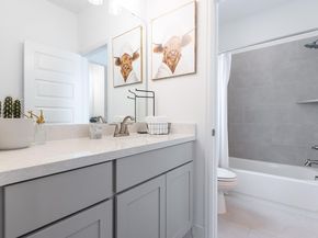 216 Rosetta LOOP, Liberty Hill TX 78642