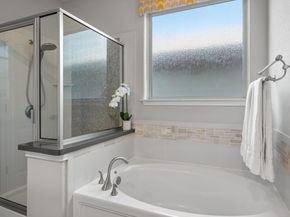 11310 Birlandier CT, Manchaca TX 78652