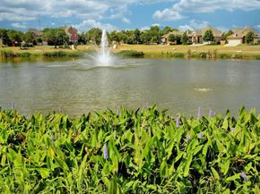 3500 Bachelor Gulch, Leander TX 78641