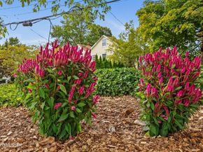 8 Reynolds Place, Greenwich CT 06831