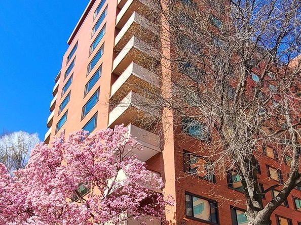 1021 Arlington Boulevard 330, Arlington VA 22209