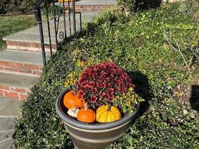 336 Gribbel Road, Wyncote PA 19095