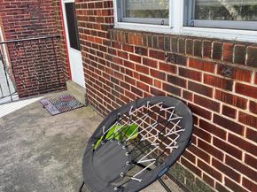 182 W Roosevelt Boulevard, Philadelphia PA 19120