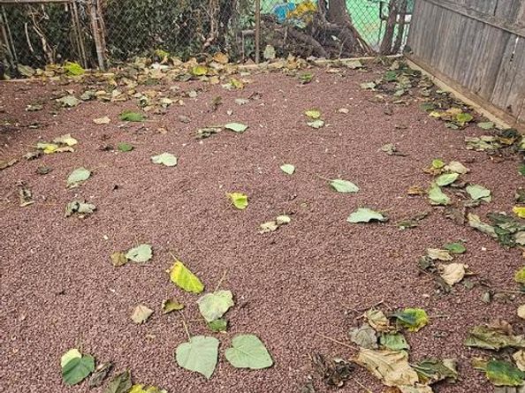 2515 N 4TH Street, Philadelphia PA 19133