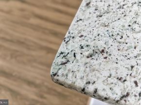 1520 Northern Neck Drive 101, Vienna VA 22182