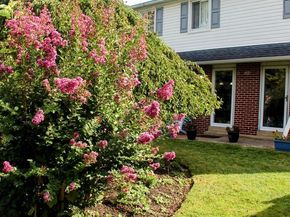 586 Olive Street, Warminster PA 18974