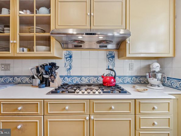 1611 Suter Lane NW, Washington DC 20007