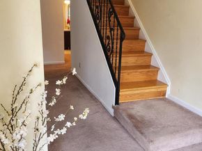 1513 E Willow Grove Avenue, Glenside PA 19038