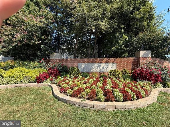 4501 Hazeltine Court A, Alexandria VA 22312