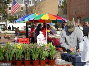 624 Pulman Place, Alexandria VA 22305