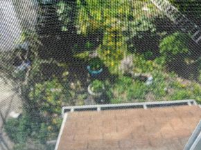 1808 Griffith Street, Philadelphia PA 19111