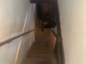 1514 Lardner Street, Philadelphia PA 19149