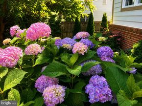 904 Locust Street, Herndon VA 20170