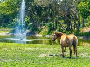 17270 Rocky Pines Road, Jupiter FL 33478