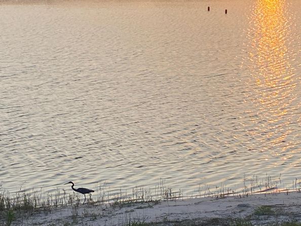 818 Sky Pine Way E2, Greenacres FL 33415