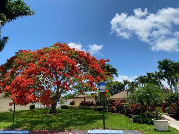 818 Sky Pine Way E2, Greenacres FL 33415