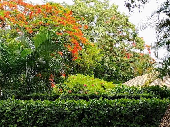 292 Sherwood Forest Drive, Delray Beach FL 33445