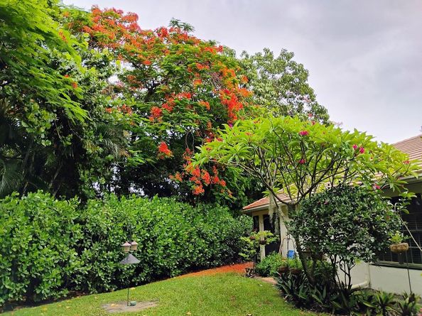 292 Sherwood Forest Drive, Delray Beach FL 33445