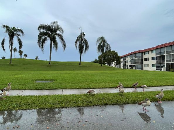 361 S Hollybrook Dr 103, Pembroke Pines FL 33025