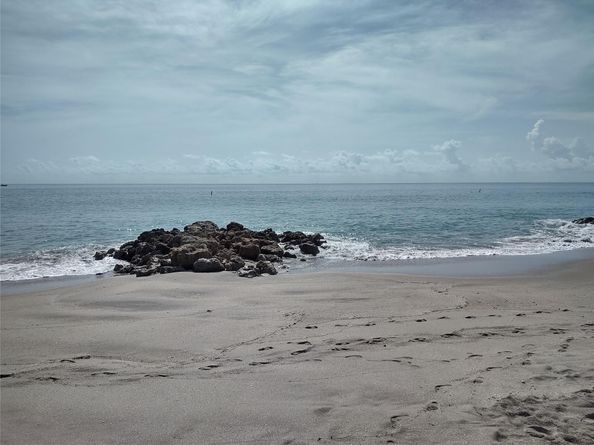 665 SE 21st Ave 502, Deerfield Beach FL 33441