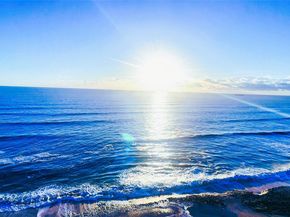 4200 N Ocean Drive 1, 1101, Singer Island FL 33404