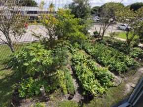 232 Canterbury J, West Palm Beach FL 33417