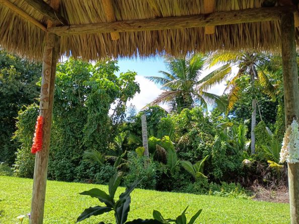 3353 Lake Overlook Pl, Lantana FL 33462