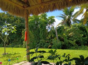 3353 Lake Overlook Pl, Lantana FL 33462