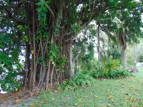 1925 NW 62nd Ter, Margate FL 33063