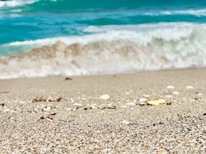 5400 N Ocean Drive 5c, Singer Island FL 33404