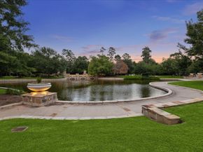 95 Olmstead Row, The Woodlands TX 77380