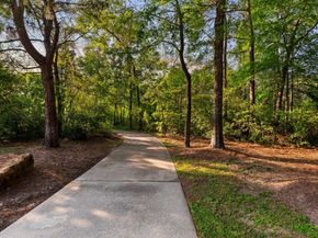 95 Olmstead Row, The Woodlands TX 77380