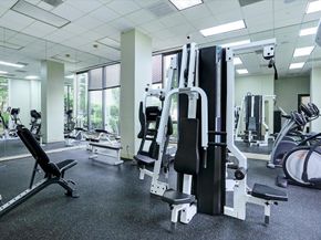 5150 Hidalgo Street 204, Houston TX 77056