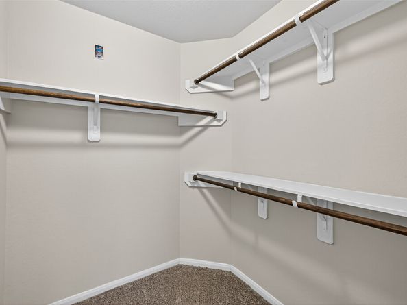 11643 Colossal Oak Drive, Houston TX 77066