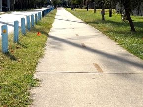 2007 Spring Street, Houston TX 77007