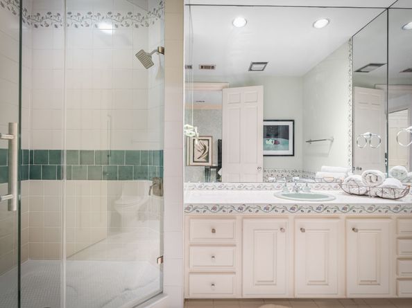251 Sugarberry Circle, Houston TX 77024