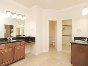 11611 Royal Oaks View, Houston TX 77082