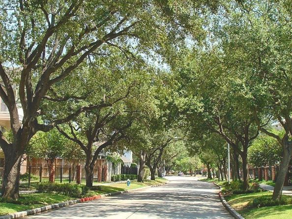 4041 Law Street 606, Houston TX 77005