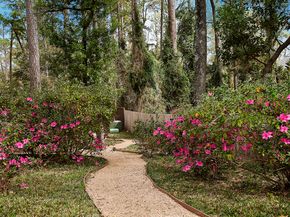 35 Misty Grove Circle, The Woodlands TX 77380